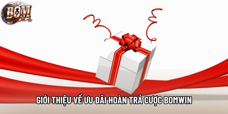 Giới thiệu về ưu đãi hoàn trả cược bomwin Giới thiệu về ưu đãi hoàn trả cược bomwin